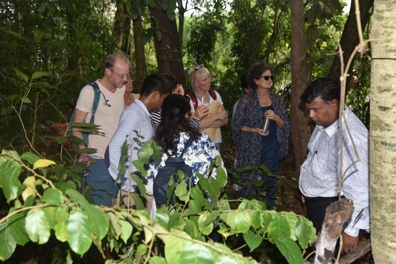 ayurveda-the-study-of-indian-herbs-attract-usa-uk-german-australian-ayurveda-practitioners-to-india