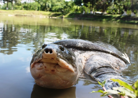 DISNEY GRANTS TO BENEFIT COMMUNITIES AND WILDLIFE IN 25 COUNTRIES decoding=