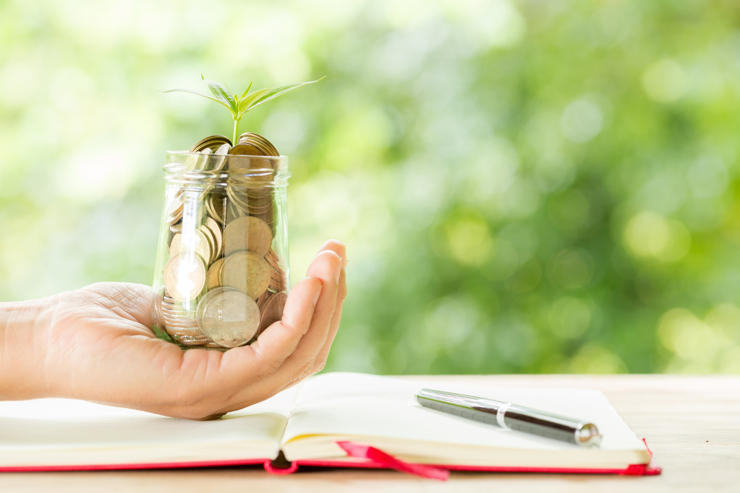 What is (PPF)Public Provident Fund?